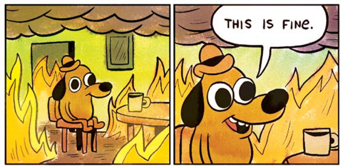 The "This is fine meme" Meme